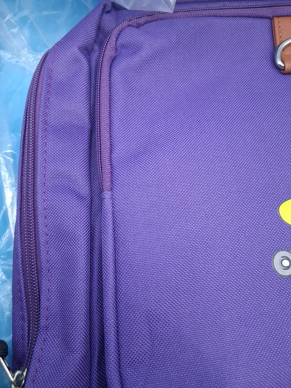 Purple Backpack with Brown Trim and Skate Graphic